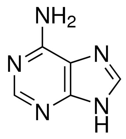 Adenine