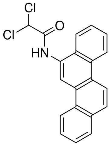 6-(2,2-DICHLOROACETAMIDO)CHRYSENE