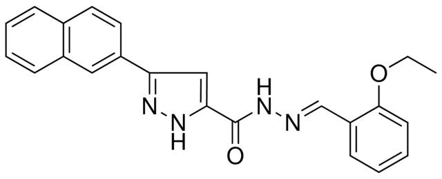 5-NAPHTHALEN-2-YL-2H-PYRAZOLE-3-CARBOXYLIC ACID (2-ETHOXY-BENZYLIDENE)-HYDRAZIDE