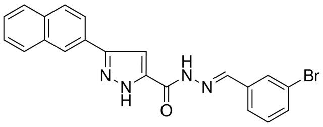 5-NAPHTHALEN-2-YL-2H-PYRAZOLE-3-CARBOXYLIC ACID (3-BROMO-BENZYLIDENE)-HYDRAZIDE