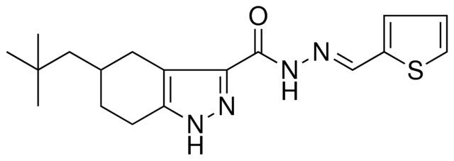 5-NEOPENTYL-N'-[(E)-2-THIENYLMETHYLIDENE]-4,5,6,7-TETRAHYDRO-1H-INDAZOLE-3-CARBOHYDRAZIDE