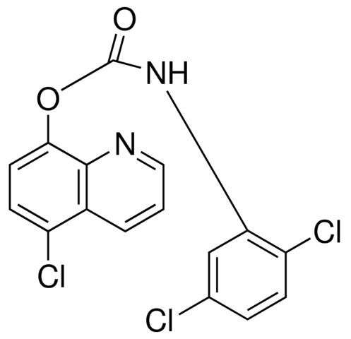 5-CHLORO-8-QUINOLYL N-(2,5-DICHLOROPHENYL)CARBAMATE