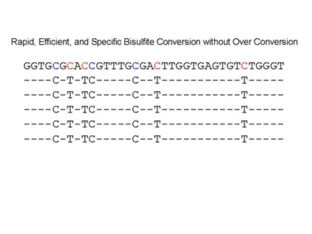 CpGenome Turbo Bisulfite Modification Kit