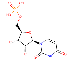 5'-Uridylic acid