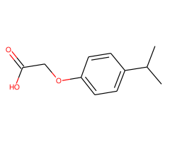 2-(4-Isopropylphenoxy)acetic acid