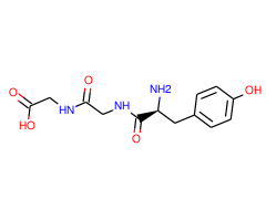 Tyr-Gly-Gly