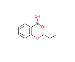 2-Isobutoxyphenylboronic acid