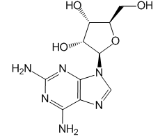 2-Aminoadenosine