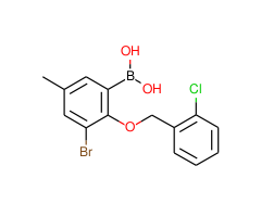 (3-Bromo-2-((2-chlorobenzyl)oxy)-5-methylphenyl)boronic acid