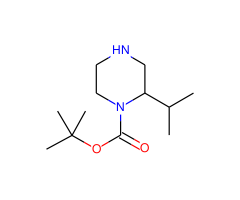 1-Boc-2-Isopropylpiperazine