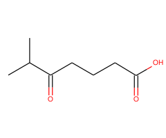 6-Methyl-5-oxoheptanoic acid