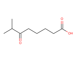 7-Methyl-6-oxooctanoic acid