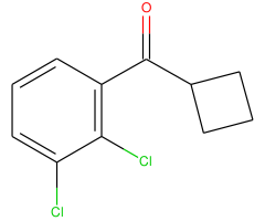 cyclobutyl 2,3-dichlorophenyl ketone