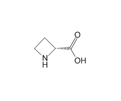 (R)-Azetidine-2-carboxylic acid