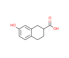 7-hydroxy-1,2,3,4-tetrahydro-naphthalene-2-carboxylic acid