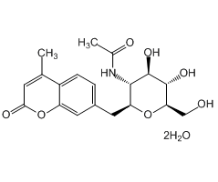 4-Methylumbelliferyl-N-acetyl-D-glucosaminide