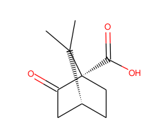 (S)-(+)-Ketopinic Acid