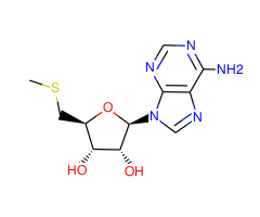 (2R,3R,4S,5S)-2-(6-Amino-9H-purin-9-yl)-5-((methylthio)methyl)tetrahydrofuran-3,4-diol