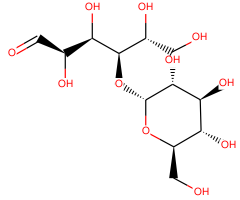 Maltose