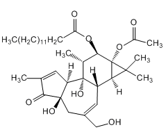 Phorbol-12-myristate-13-acetate