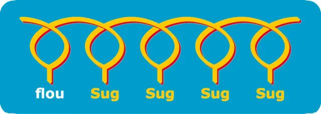 3-suGalβ-C3-PAA-fluo