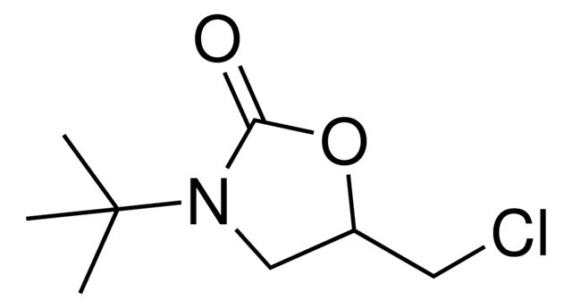 3-tert-Butyl-5-(chloromethyl)-1,3-oxazolidin-2-one