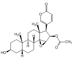 Cinobufagin