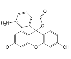 6-Aminofluorescein