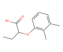 2-(2,3-Dimethyl-phenoxy)-butyric acid